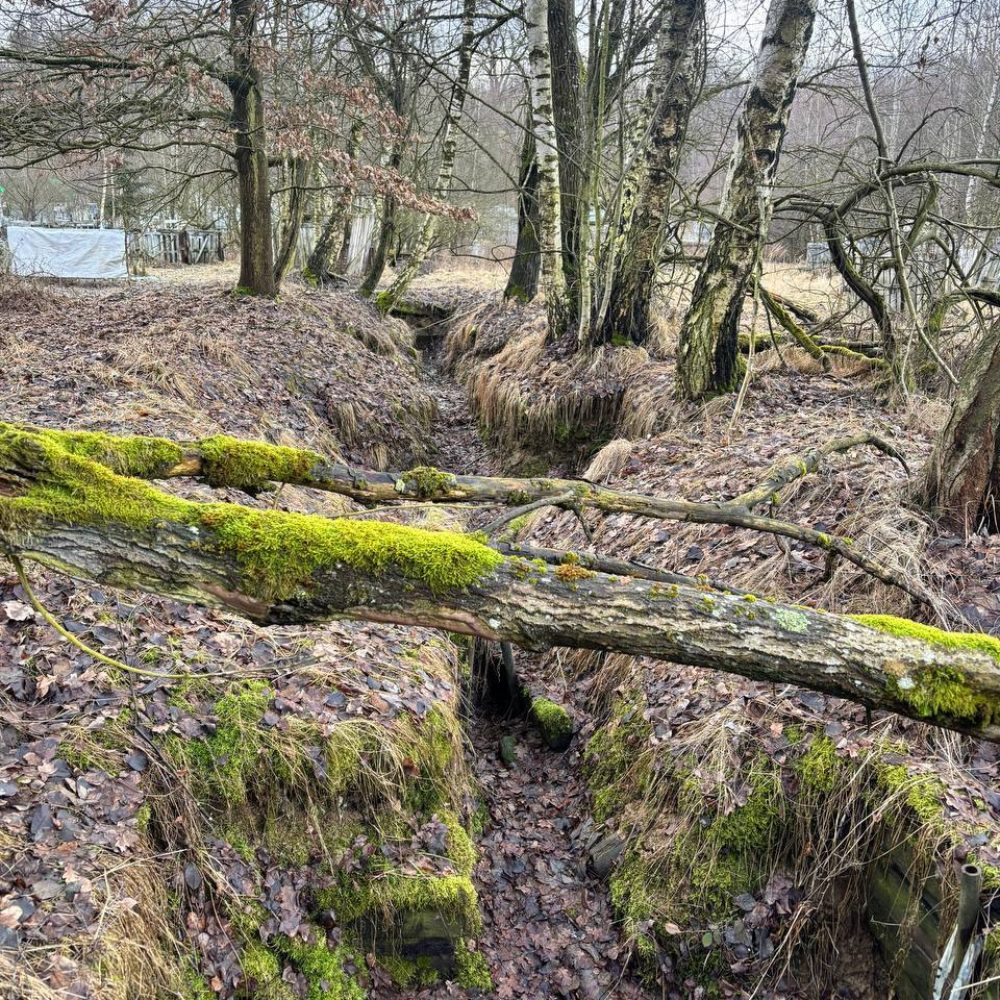 0fd91712-27a6-4331-a797-af28400ecd85